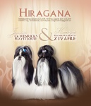 I Ch.MULTI Ch.Kenya Z IVAFRE & Ch.Zw.Wenrick\'S Play IT Loud