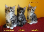 Miot C -CASANDRA -CEDRIC-CARMEN